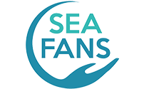 Sea Fans